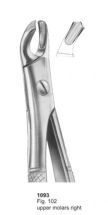  Fig. 102 upper molars right 